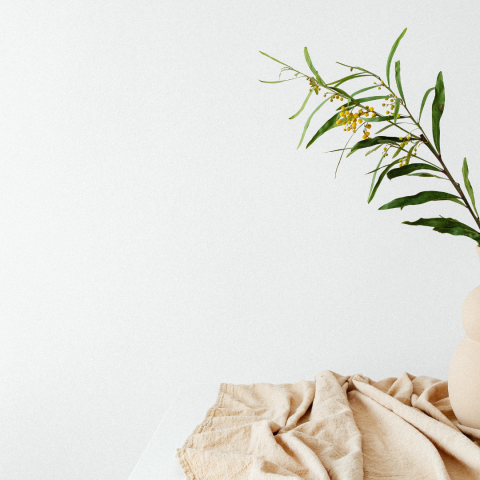 Apa Itu Warna Beige Dan Kombinasi Yang Cocok?